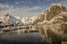 Norwegian cod fishery  in Lofoten