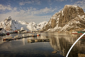 Norwegian cod fishery  in Lofoten