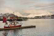 Norwegian cod fishery  in Lofoten