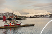 Norwegian cod fishery  in Lofoten