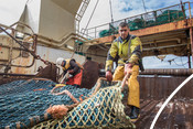 Fishers from the French EURONOR saithe fishery