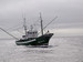 North Atlantic albacore fishery of Cantabrian fleet