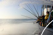 North Atlantic albacore fishery of Cantabrian fleet