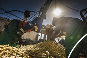 Three fishermen repairing net south african Hake fishery