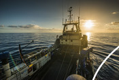Sun on the horizon south african Hake fishery