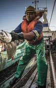Throwing fish south african Hake fishery