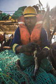 holding fish south african Hake fishery