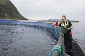 Photos ASC saumon d'élevage