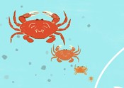 Crab illustration generations